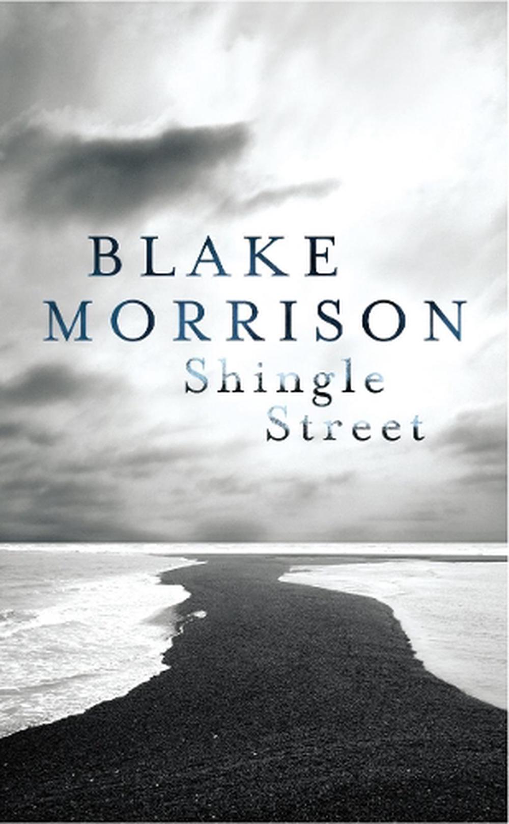 Shingle Street by Blake Morrison, Paperback, 9780701188771 | Buy online ...