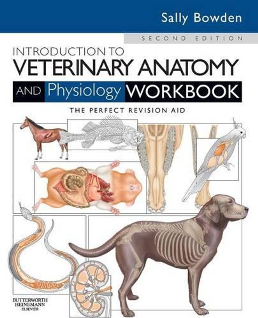 Introduction to Veterinary Anatomy and Physiology Workbook, 2nd Edition by Sally J Bowden - ISBN: 9780702052323