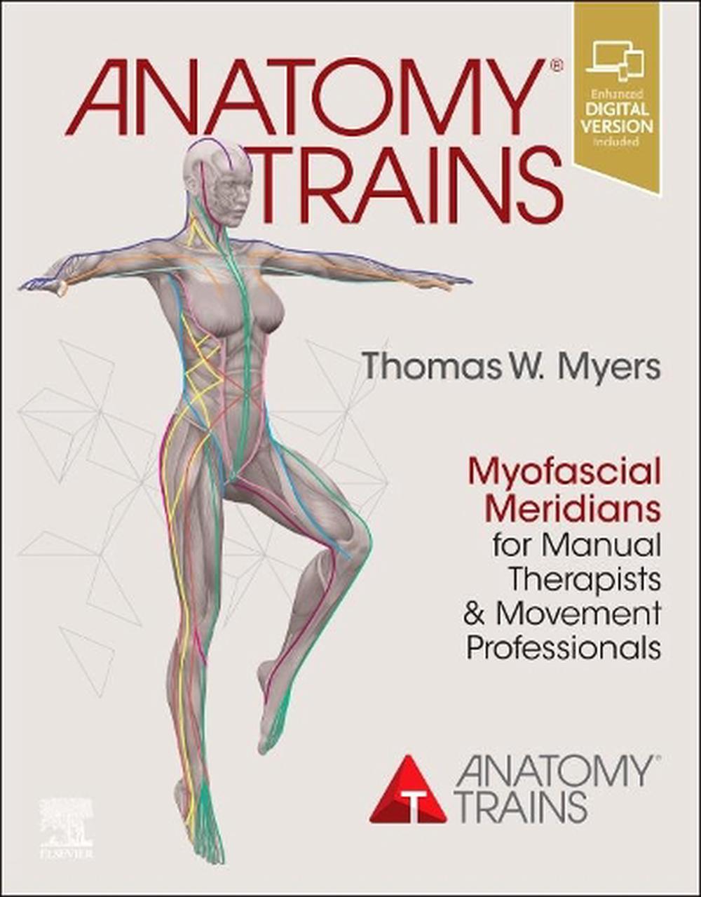 Anatomy Trains, 4th Edition by Thomas W. Myers, Paperback