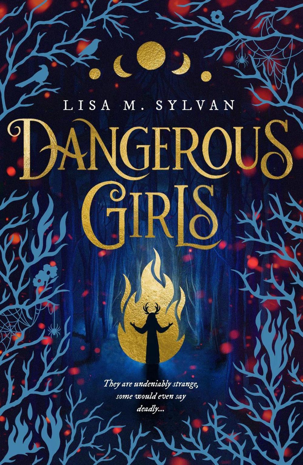 Dangerous Girls by Lisa M. Sylvan - ISBN: 9780702339264
