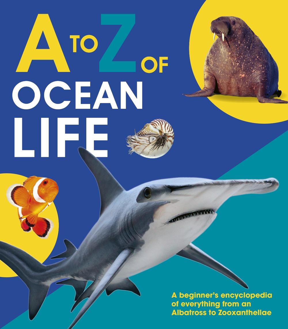 A to Z of Ocean Life, 9780711256866