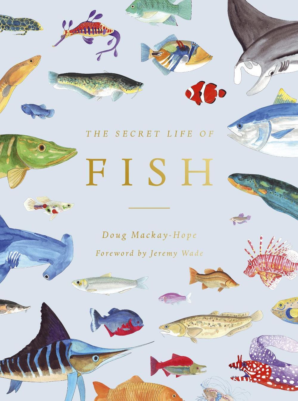 The Secret Life of Fish by Doug Mackay-hope - ISBN: 9780711260993