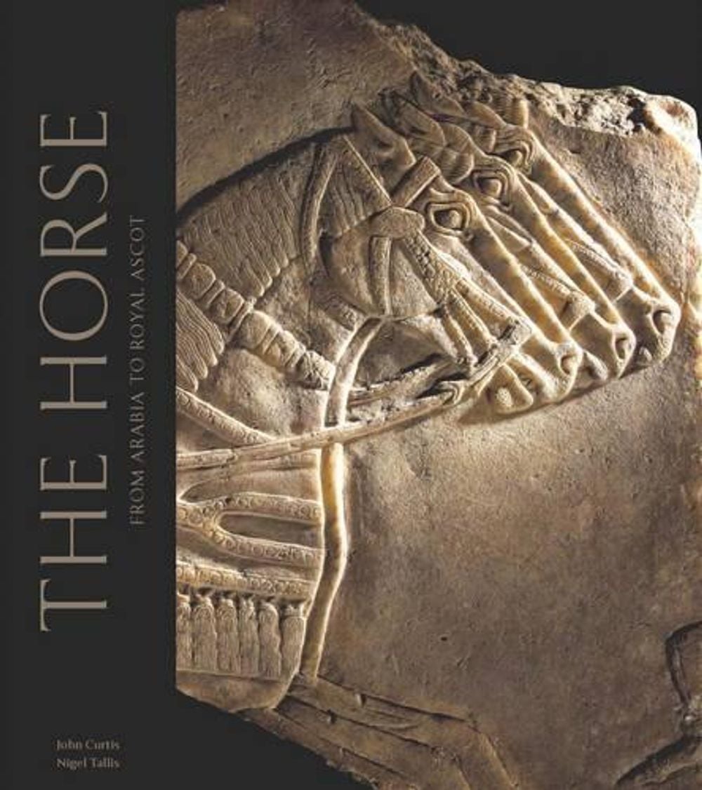 The Horse by John Curtis - ISBN: 9780714111834