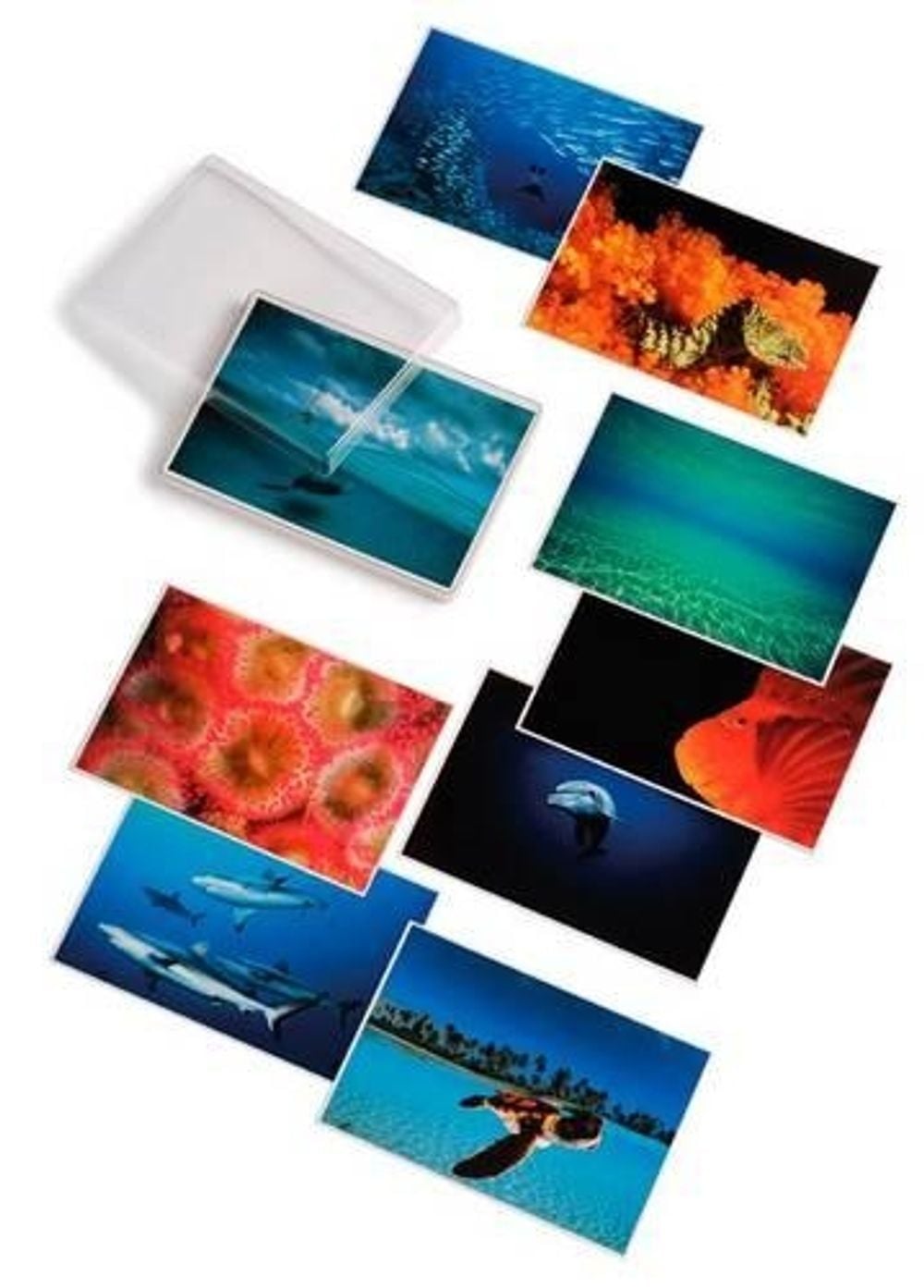 David Doubilet; Water Light Time Postcards - ISBN: 9780714842271