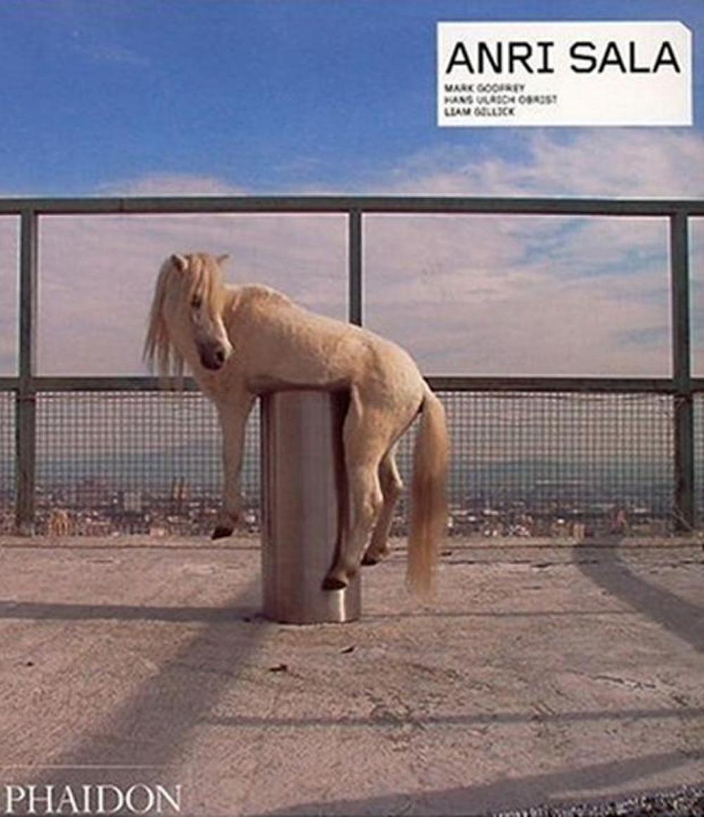 Anri Sala by Mark Godfrey - ISBN: 9780714845272