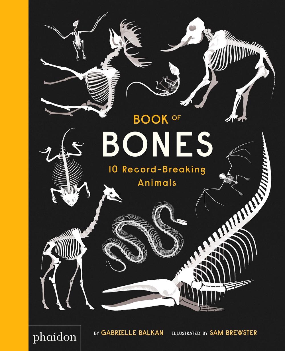 Book of Bones by Gabrielle Balkan - ISBN: 9780714875118