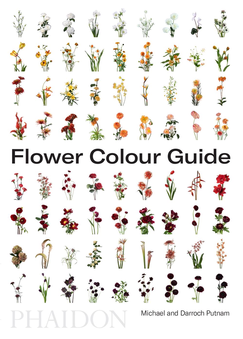 Flower Colour Guide by Darroch Putnam, Paperback, 9780714878300 Buy