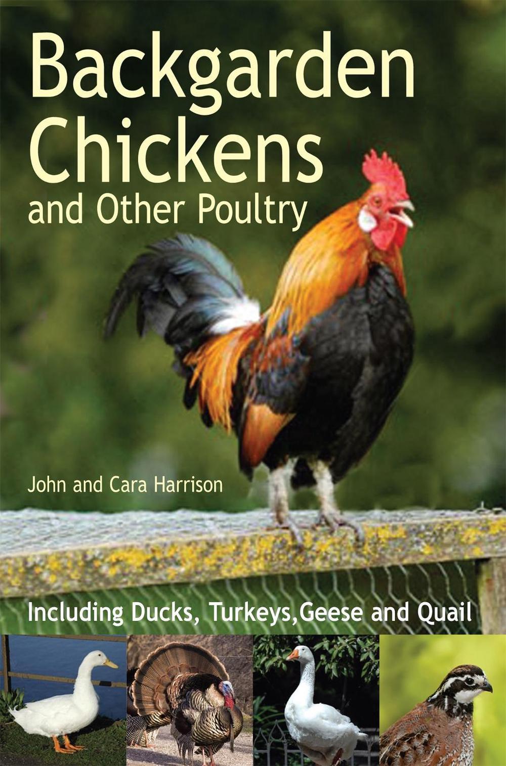 Backgarden Chickens and Other Poultry by John Harrison - ISBN: 9780716022688