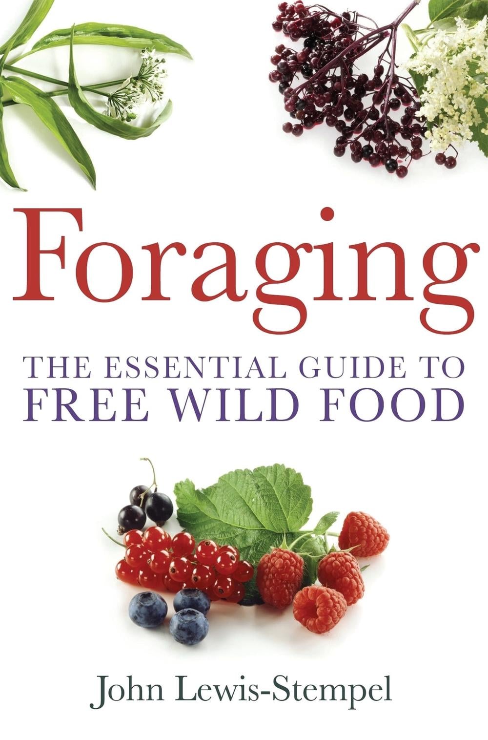 Foraging by John Lewis-Stempel - ISBN: 9780716023104