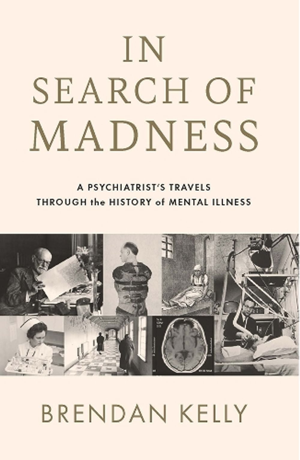 In Search of Madness by Brendan Kelly - ISBN: 9780717193783