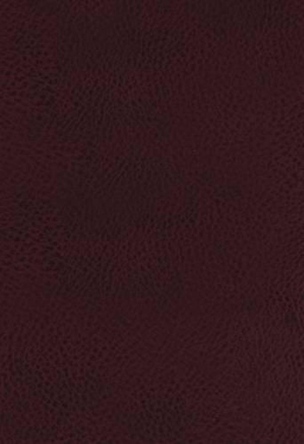 KJV, The King James Study Bible, Bonded Leather, Burgundy, Red Letter, Full-Color Edition, 9780718079796