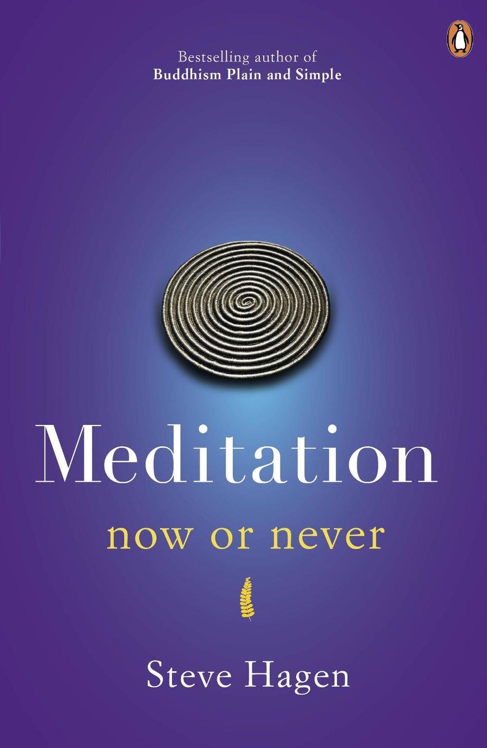 Meditation Now or Never, 9780718193041