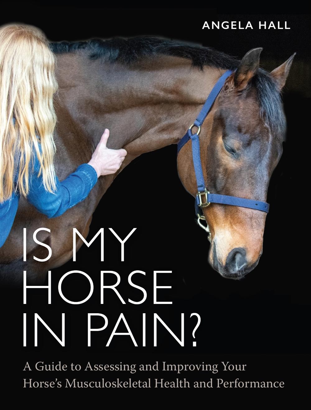 Is My Horse in Pain?, 9780719835070