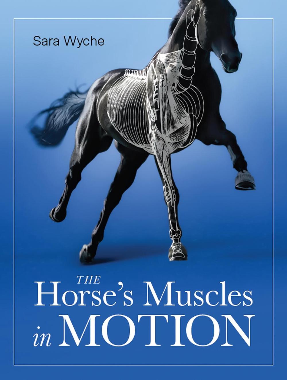 Horse's Muscles in Motion, 9780719840869