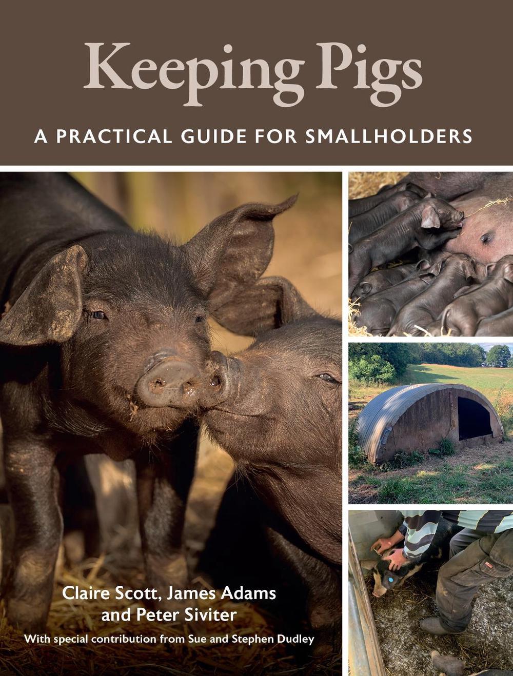 Keeping Pigs, 9780719842573