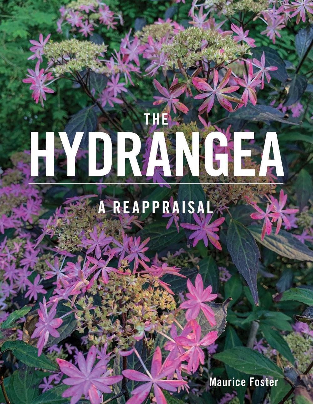 The Hydrangea by Maurice Foster - ISBN: 9780719842832