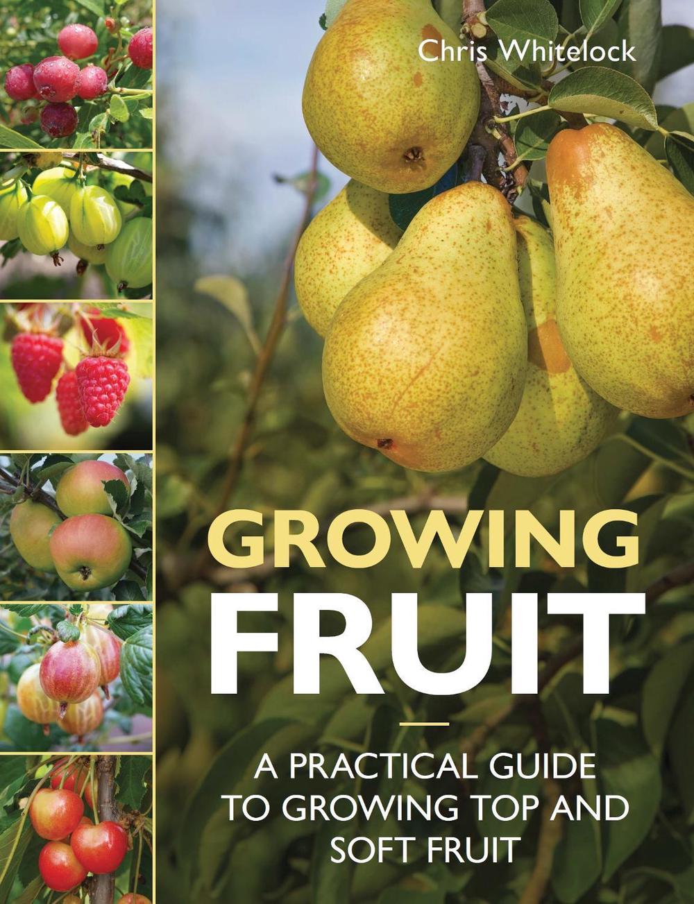 Growing Fruit, 9780719845390