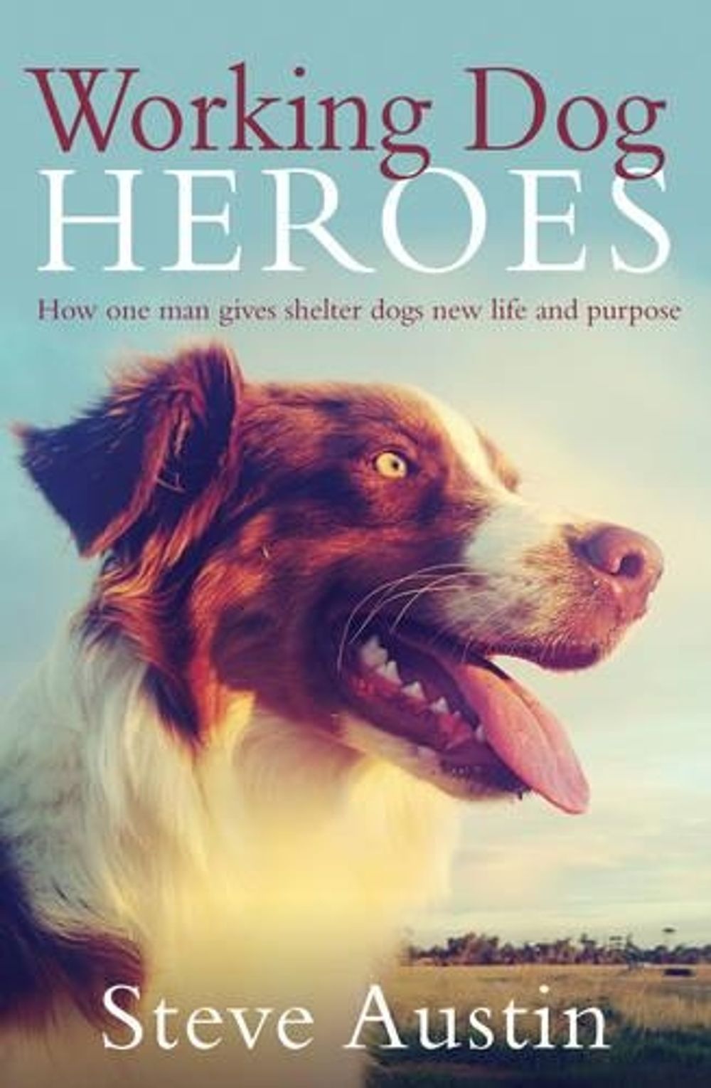 Working Dog Heroes by Steve Austin - ISBN: 9780733334399