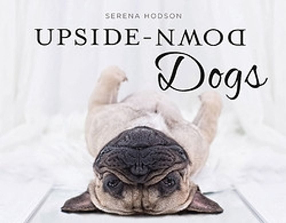 Upside-Down Dogs by Serena Hodson - ISBN: 9780733639289