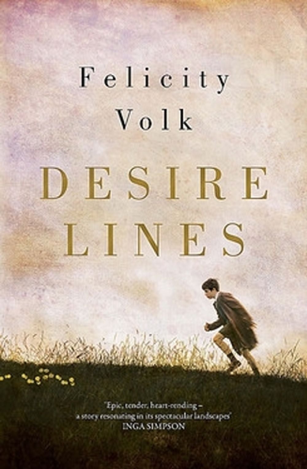 Desire Lines by Felicity Volk - ISBN: 9780733642593