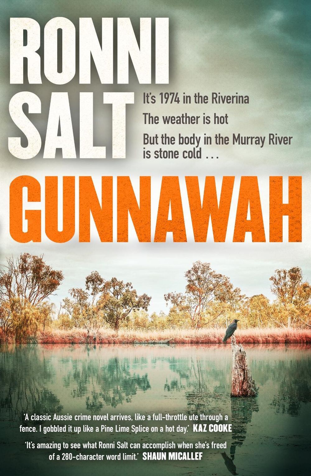 Gunnawah by Ronni Salt - ISBN: 9780733652905