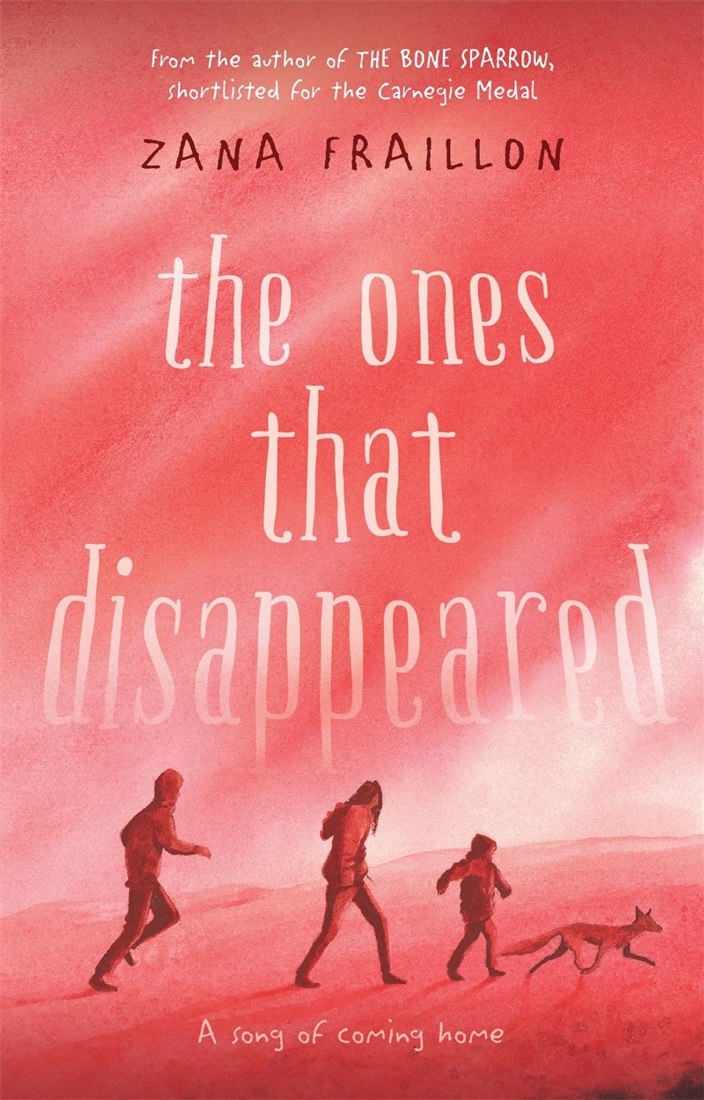 The Ones That Disappeared by Zana Fraillon - ISBN: 9780734417152