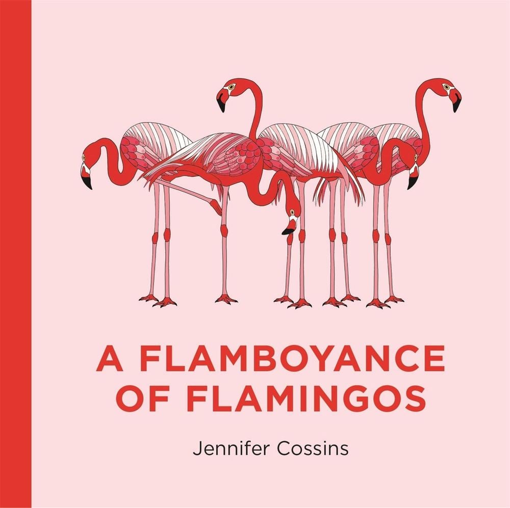 A Flamboyance of Flamingos by Jennifer Cossins - ISBN: 9780734419859