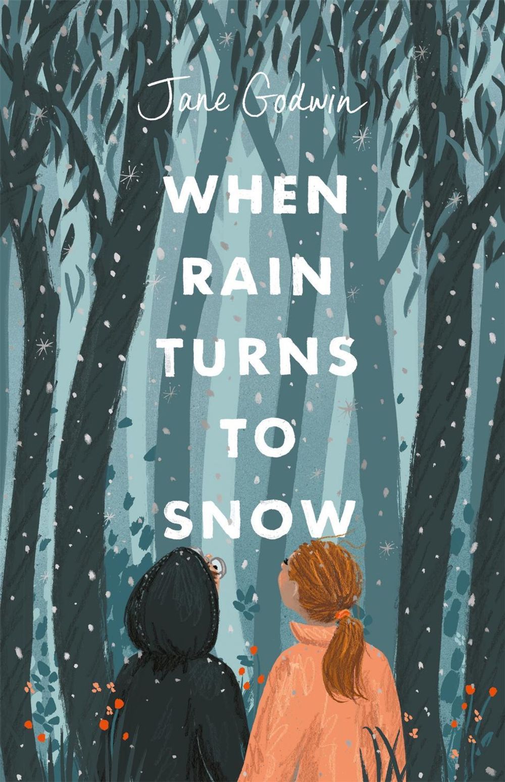 When Rain Turns to Snow by Jane Godwin - ISBN: 9780734420053