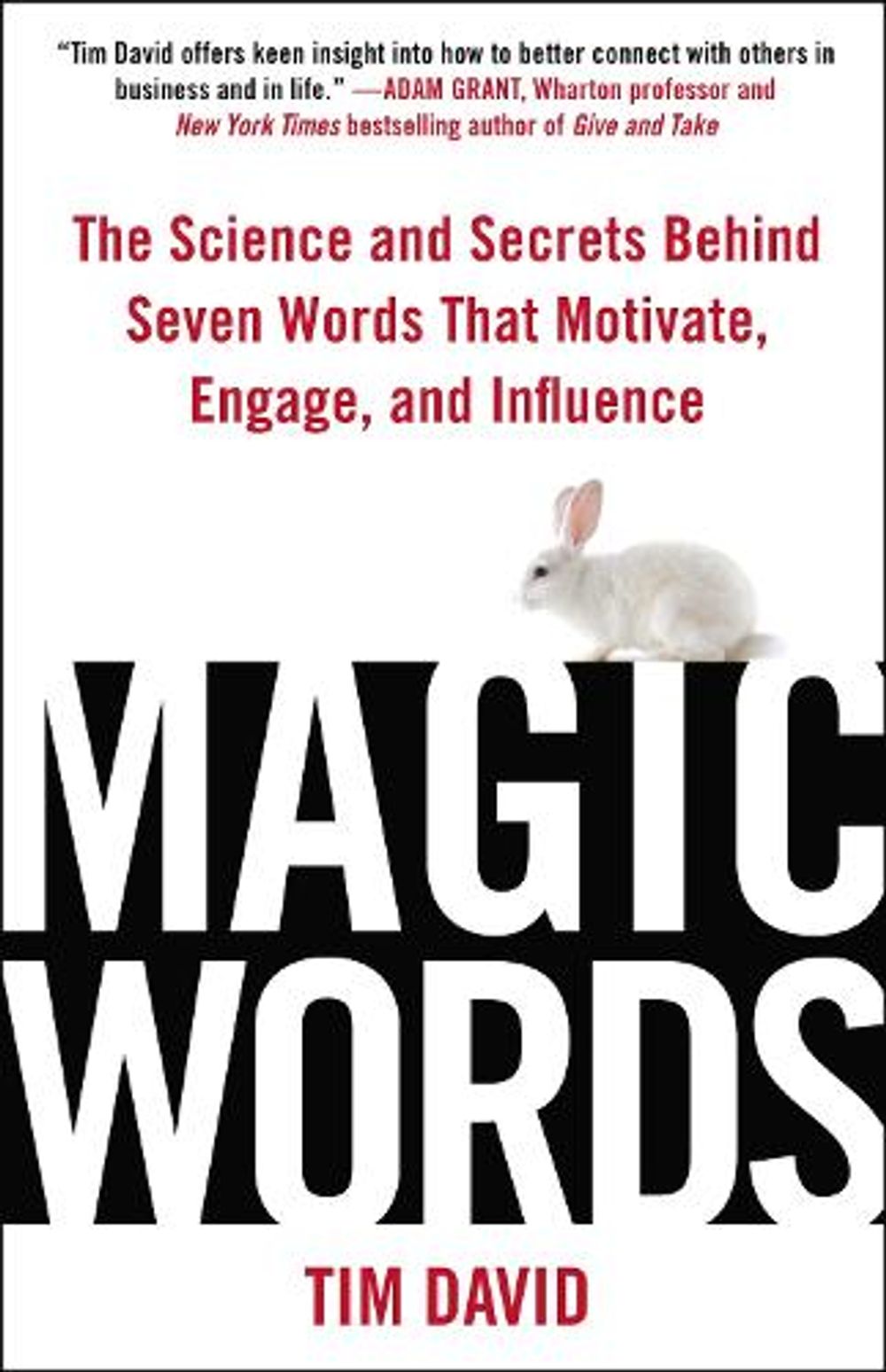 Magic Words by Tim David - ISBN: 9780735205406