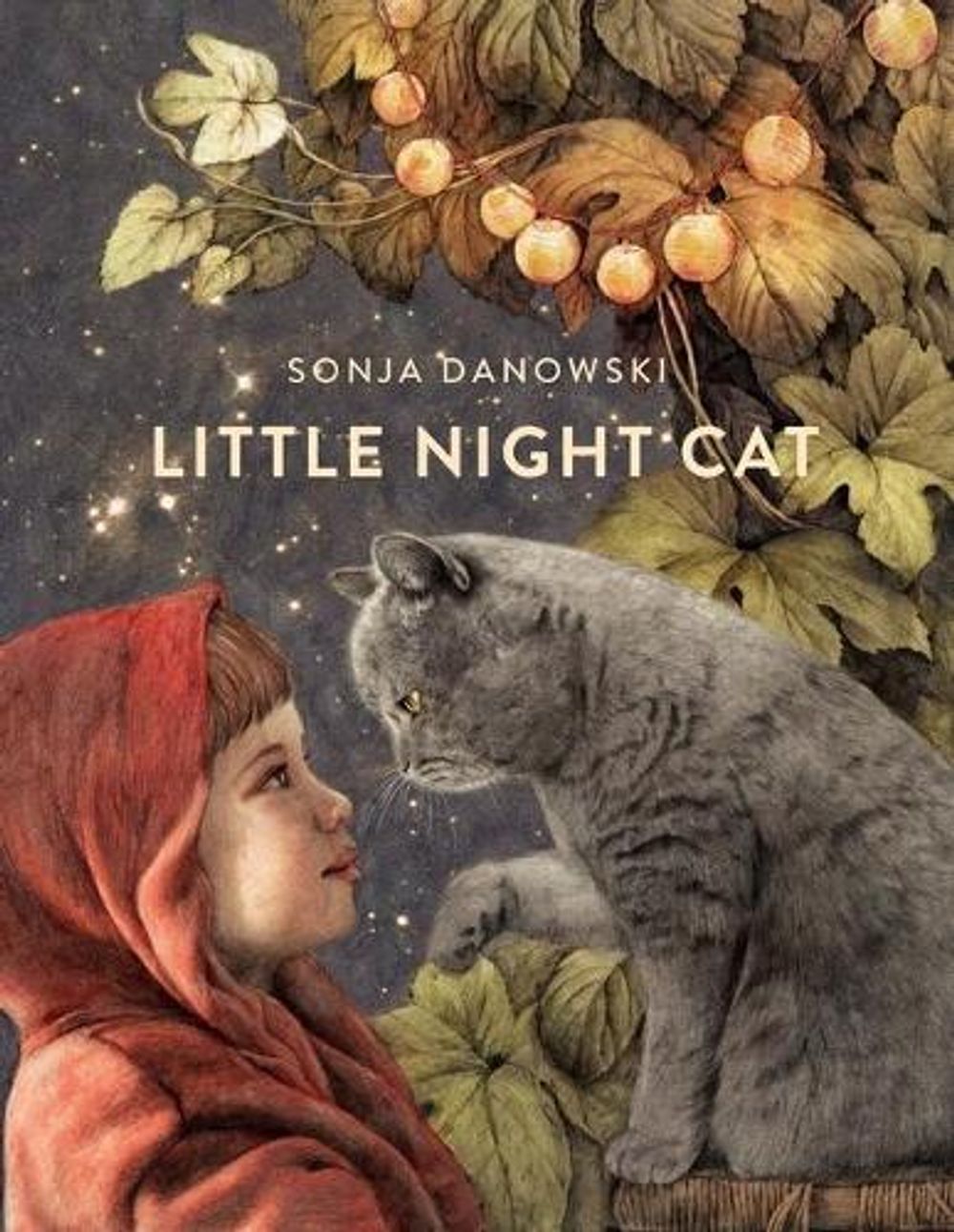 Little Night Cat by Sonja Danowski - ISBN: 9780735842663