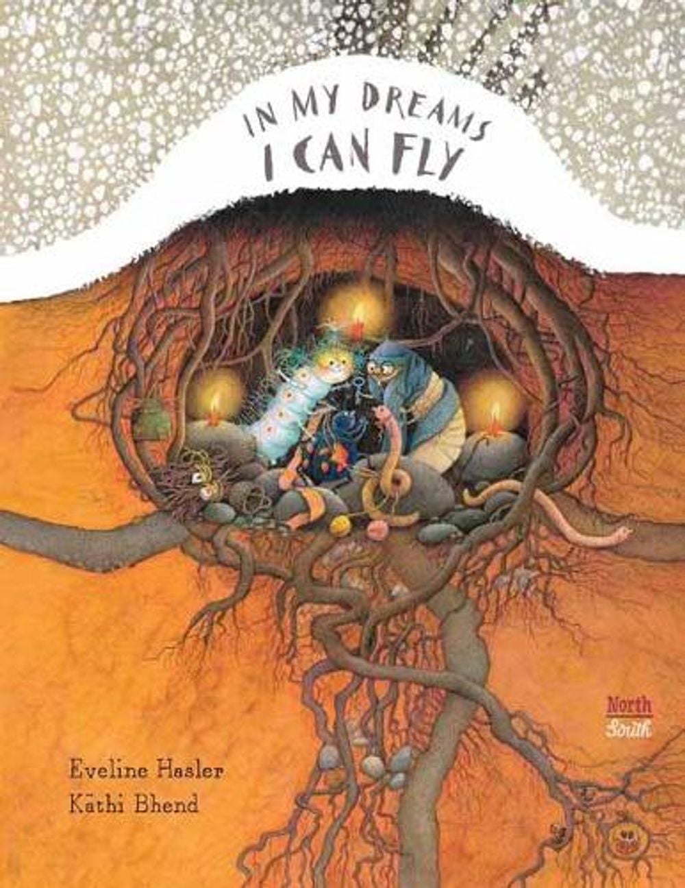 In My Dreams I Can Fly by Eveline Hasler - ISBN: 9780735844308