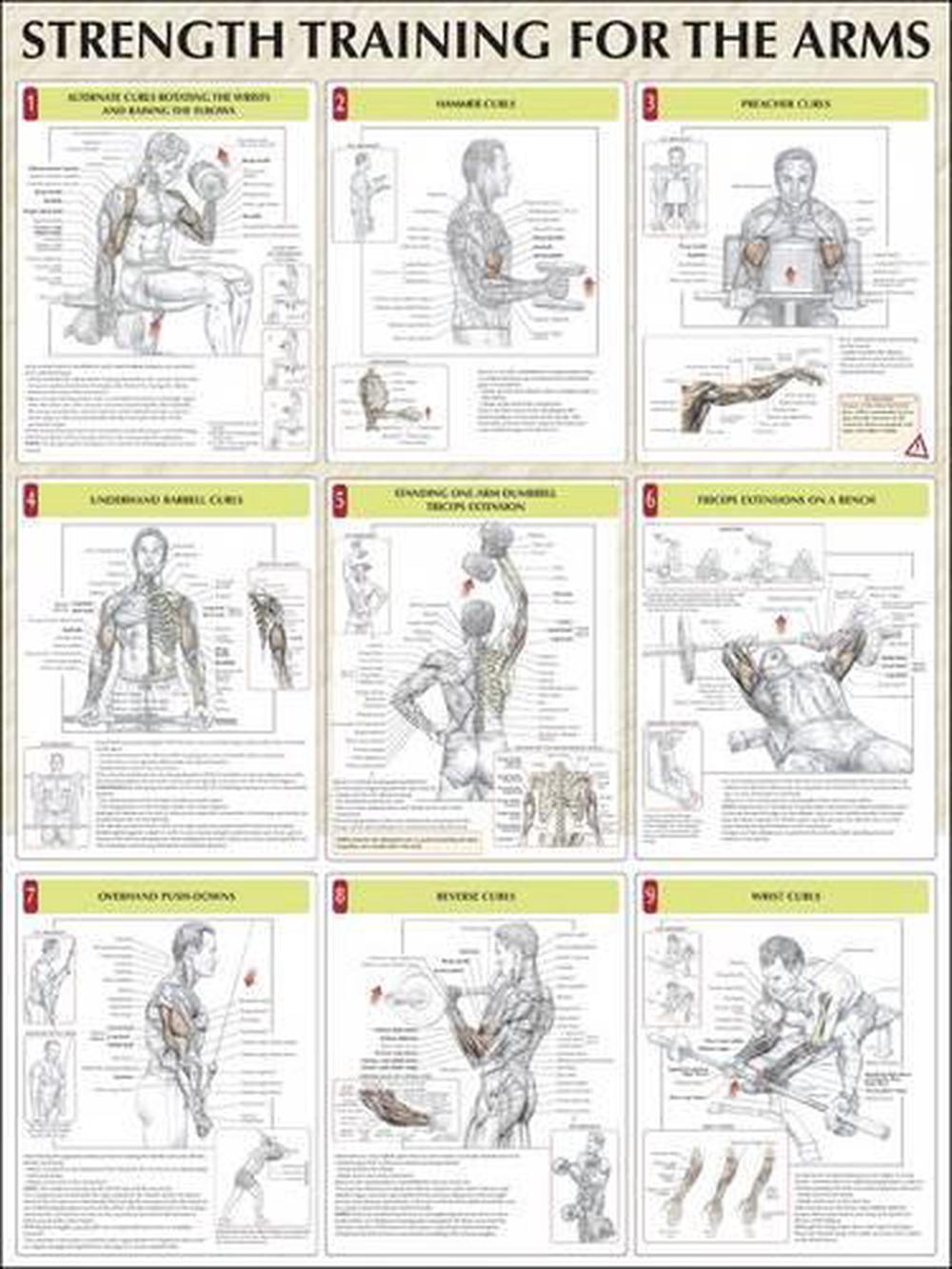 Strength Training for the Arms, 9780736059336