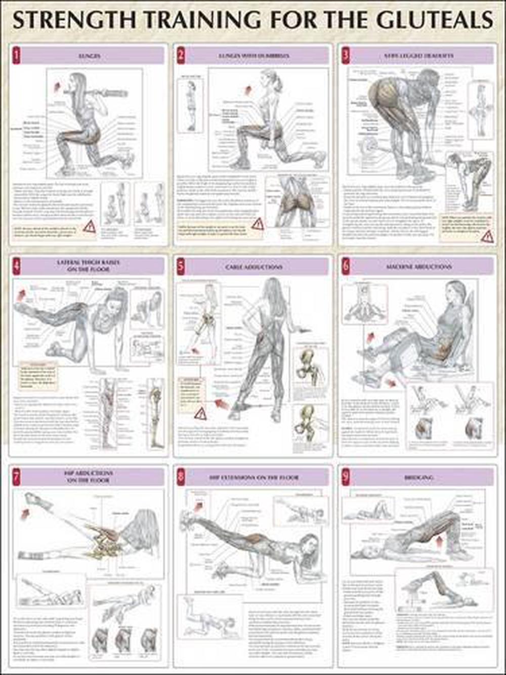 Strength Training for the Buttocks by Frederic Delavier