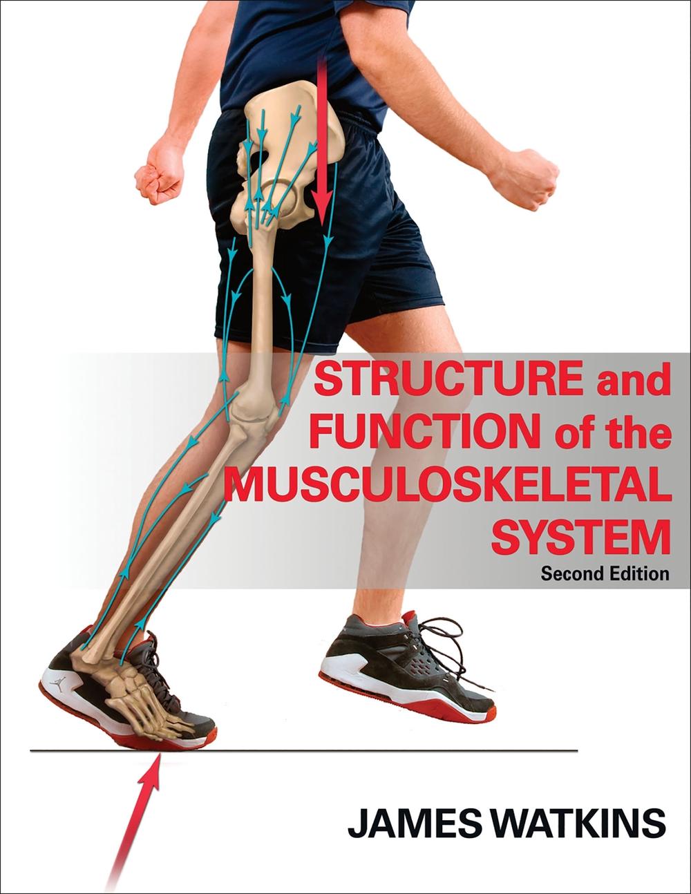 Structure And Function Of The Musculoskeletal System