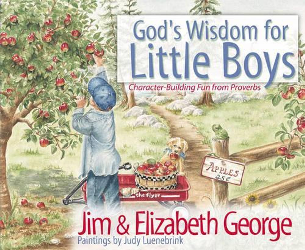 God's Wisdom for Little Boys by Jim George - ISBN: 9780736908245