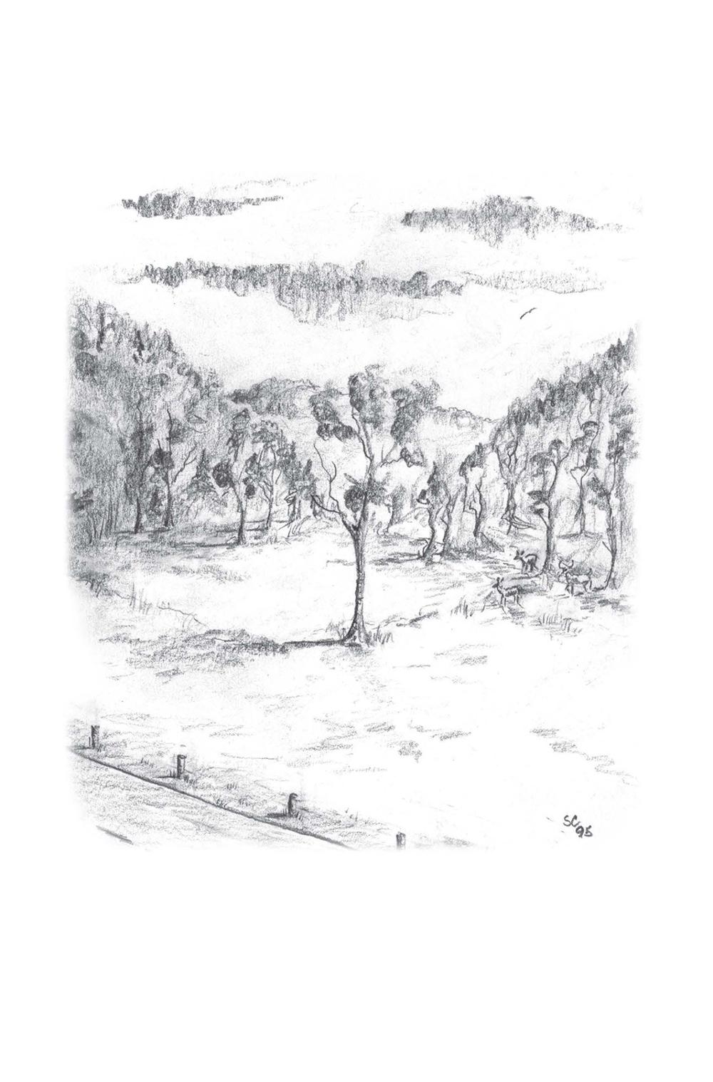 A Look at Life from a Deer Stand (Milano Softone), 9780736971683