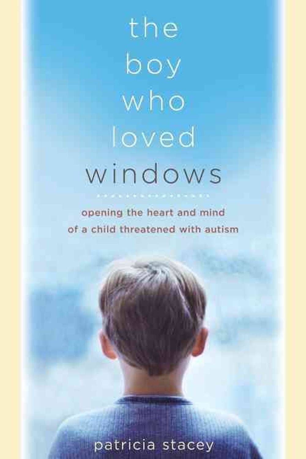 The Boy Who Loved Windows by Patricia Stacey - ISBN: 9780738209661