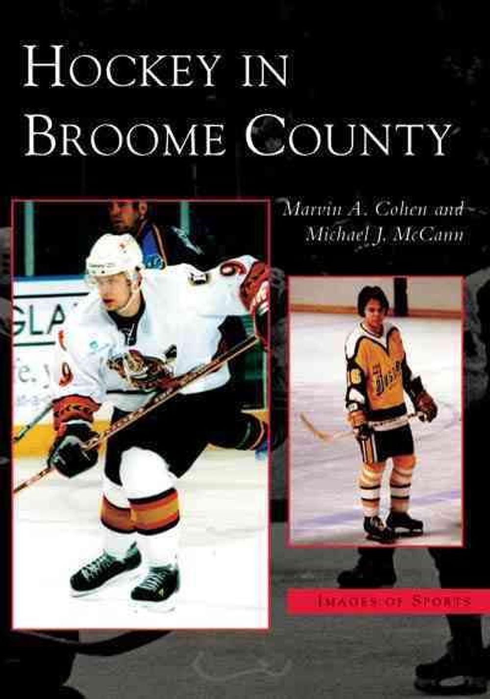 Hockey in Broome County by Marvin A. Cohen - ISBN: 9780738538839