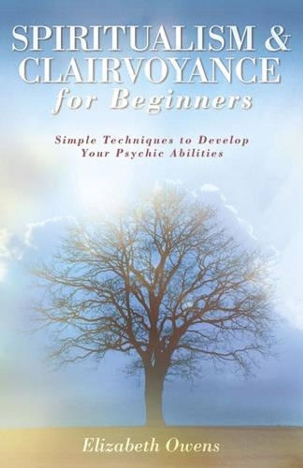 Spiritualism & Clairvoyance for Beginners by Elizabeth Owens - ISBN: 9780738707075