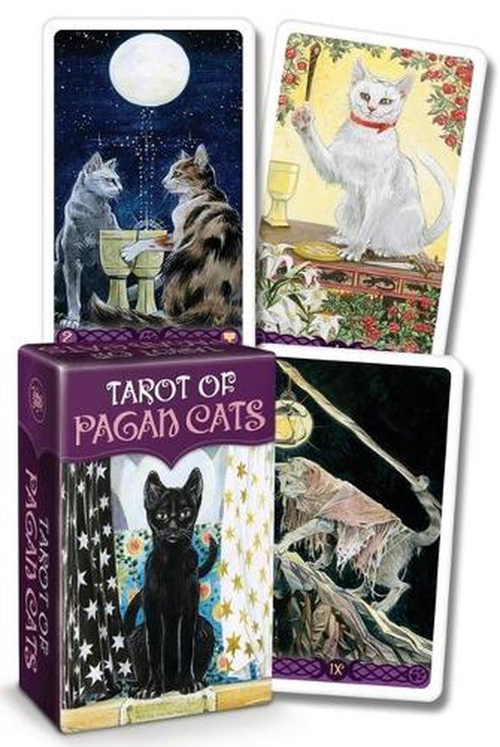 Tarot of Pagan Cats Mini Deck by Magdelina Messina, Cards, 9780738769745 Buy online at The Nile