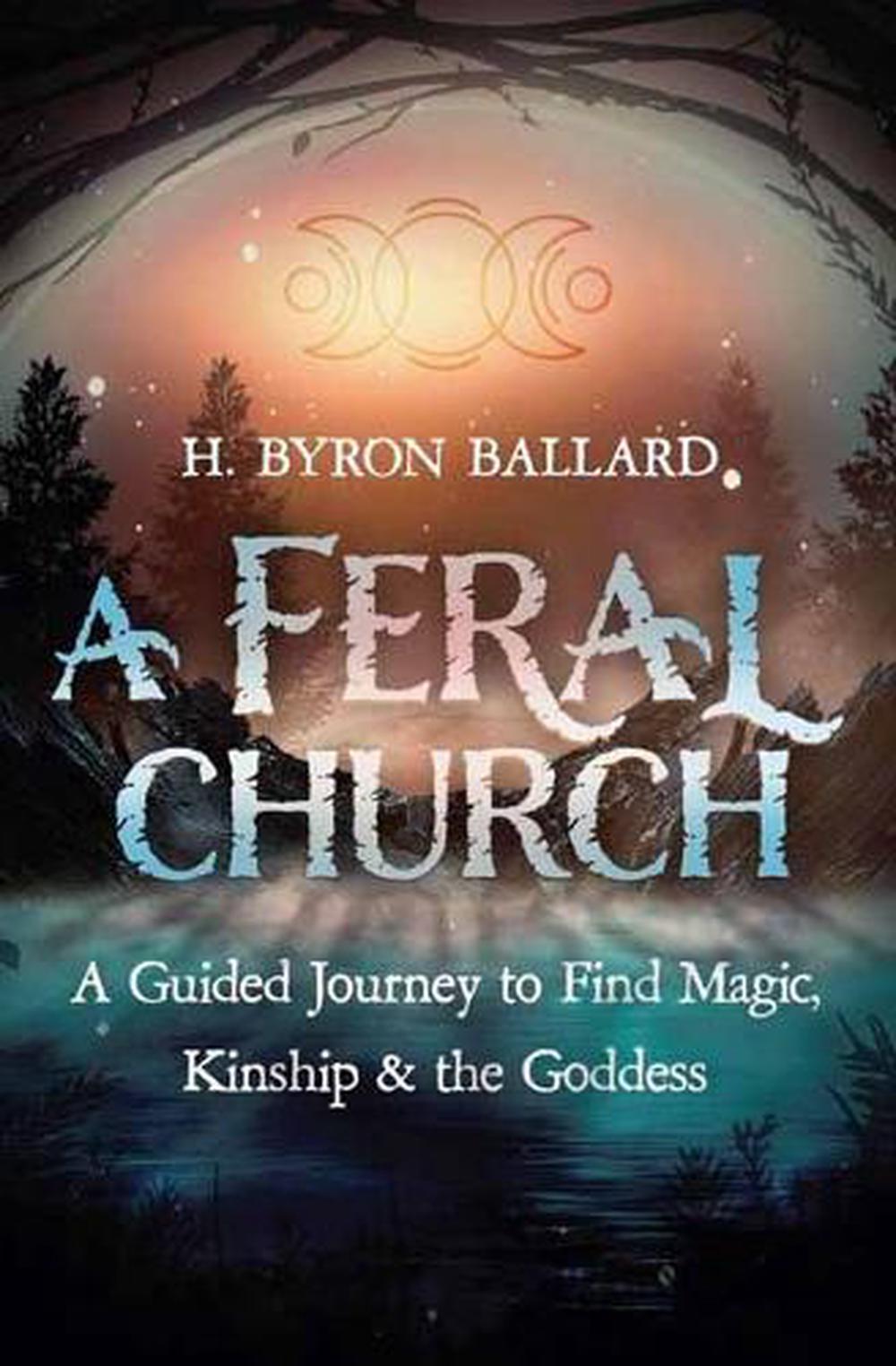 A Feral Church, 9780738776361