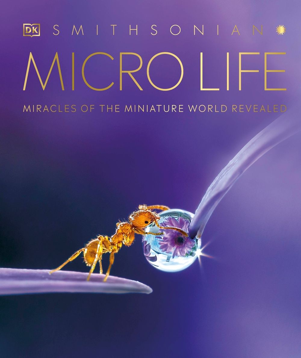 Micro Life by DK - ISBN: 9780744039566