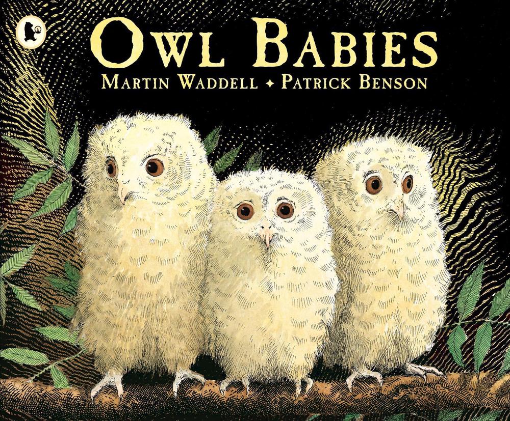 Owl Babies, 9780744531671