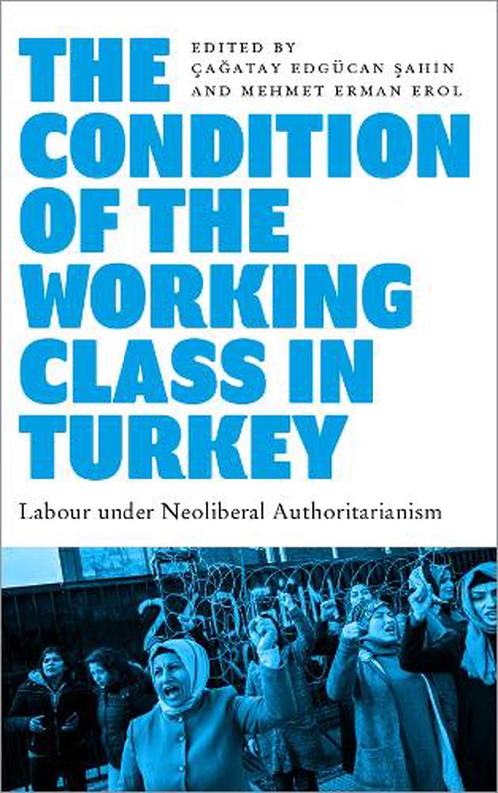 The Condition of the Working Class in Turkey, 9780745343112
