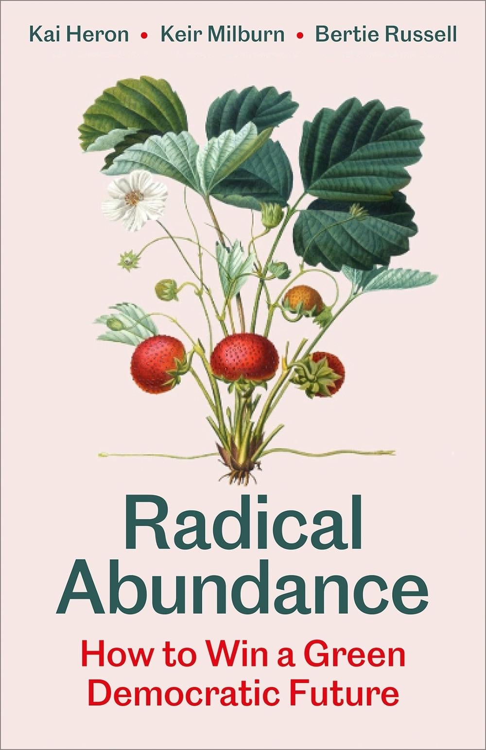 Radical Abundance by Kai Heron - ISBN: 9780745351353