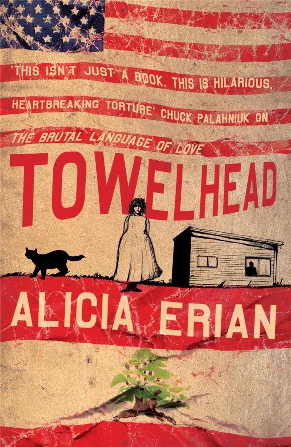 Towelhead by Alicia Erian - ISBN: 9780747267041