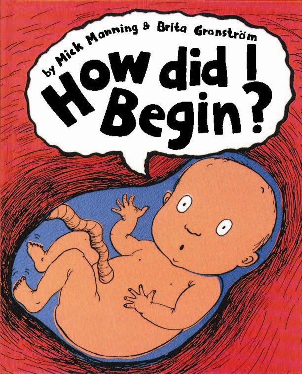 How Did I Begin? by Mick Manning - ISBN: 9780749656614