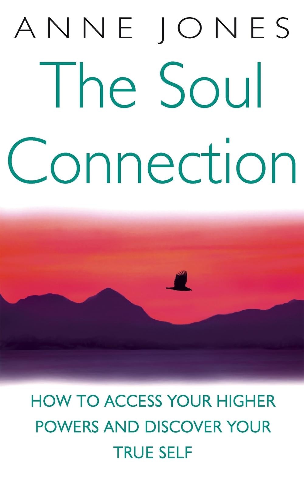 The Soul Connection by Anne Jones - ISBN: 9780749939953