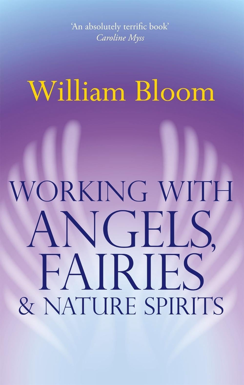 Working With Angels, Fairies And Nature Spirits by Dr. William Bloom - ISBN: 9780749941161