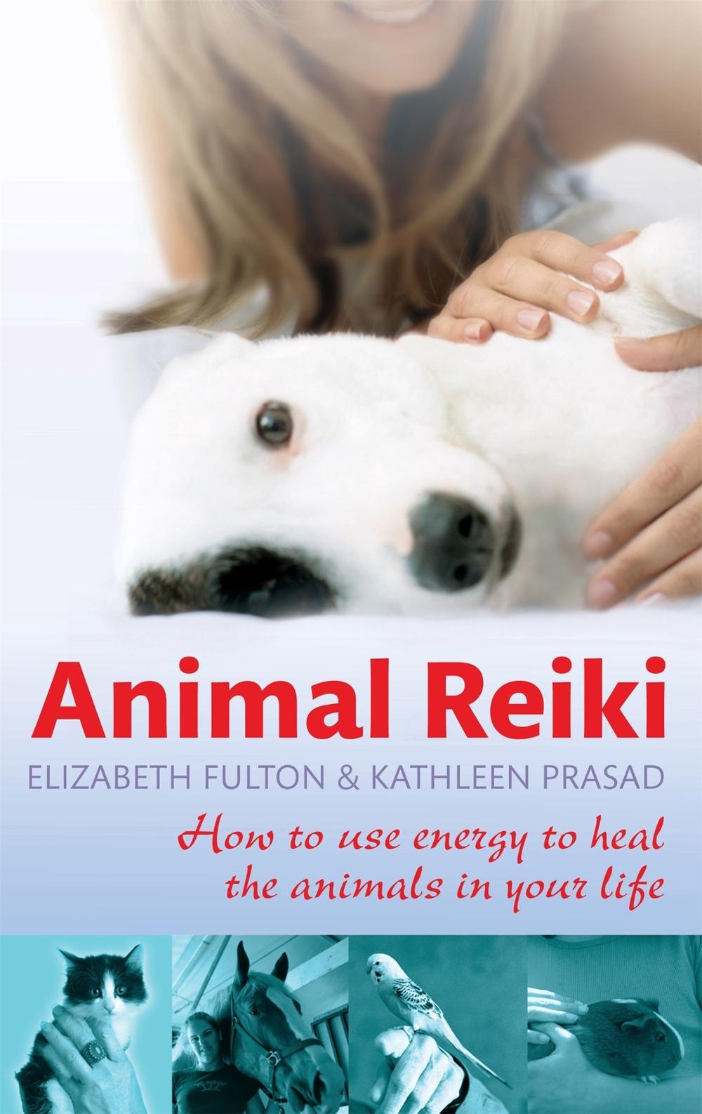 Animal Reiki, 9780749952808